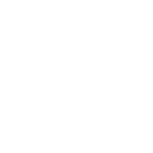 Our Vision Our Vision
