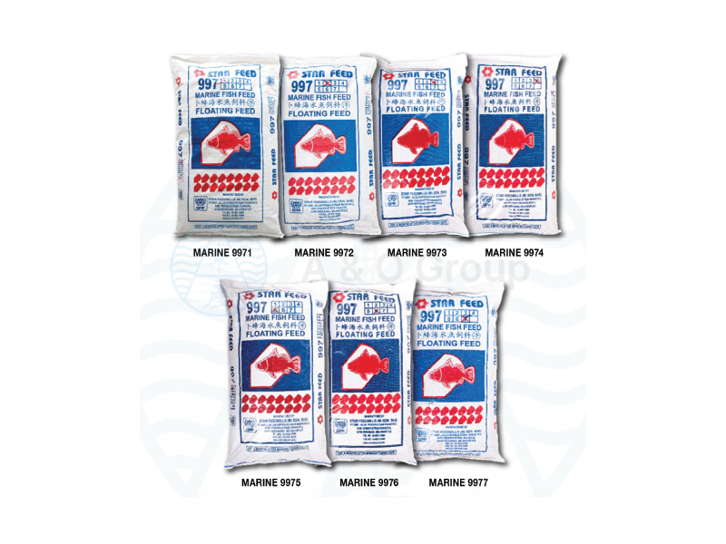 Marine Fish Feed (Floating)