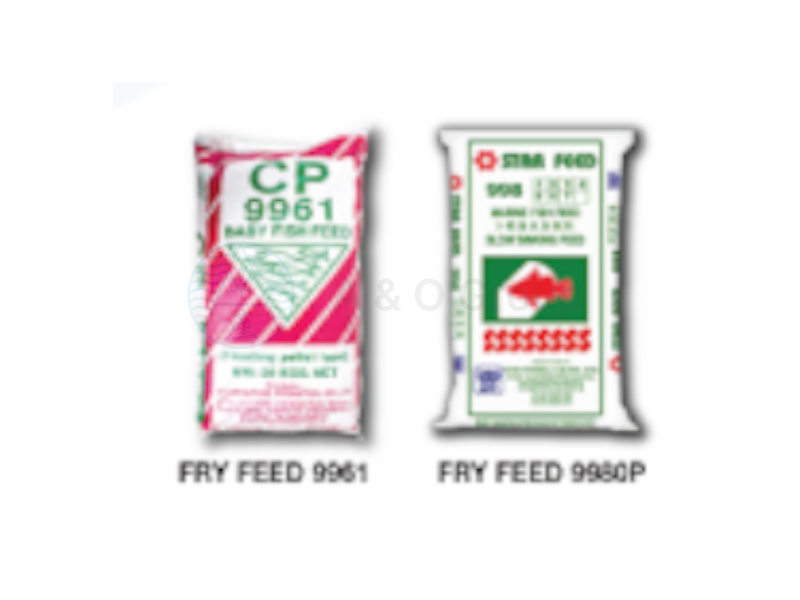 Fry Feed